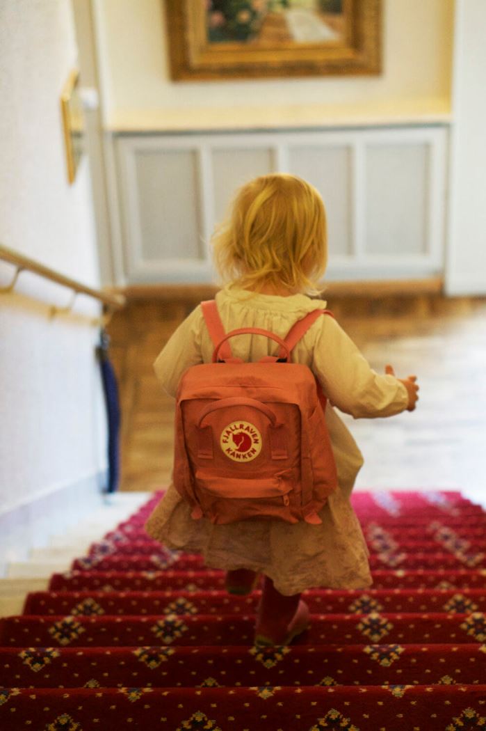 the Influencer Convention 2017