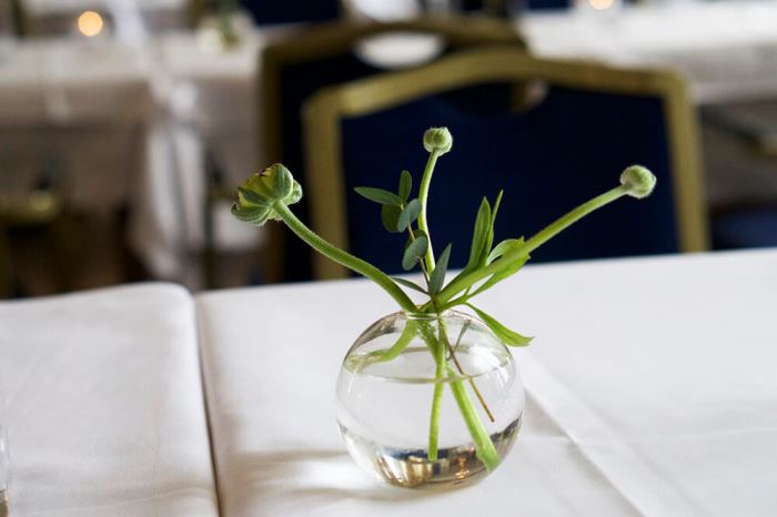 the Influencer Convention 2017