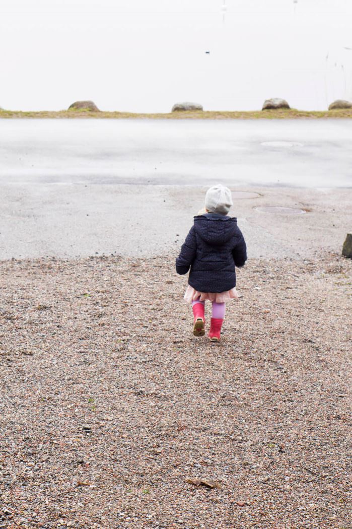 the Influencer Convention 2017