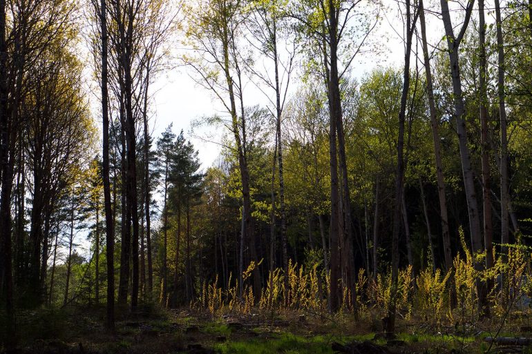 tips-for-att-promenera-langt-med-barn-2 - Promenera långt med barn