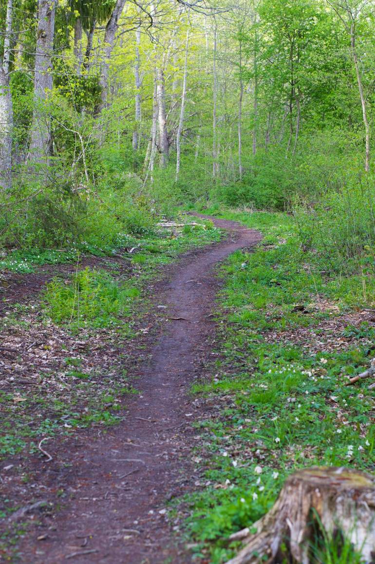 tips-for-att-promenera-langt-med-barn-4 - Promenera långt med barn