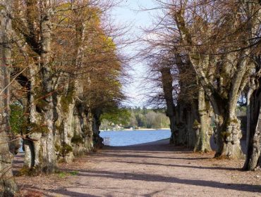 tips-for-att-promenera-langt-med-barn-7-1