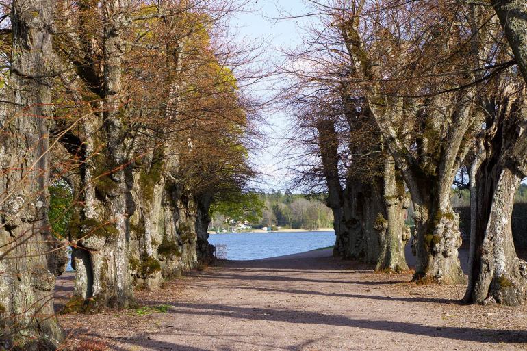 tips-for-att-promenera-langt-med-barn-7 - Promenera långt med barn