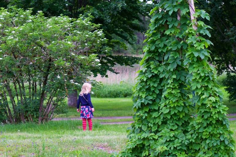 toftaholm-herrgard-tradgard-1 - Toftaholm Herrgård - recension av Händelsernas Herrgård