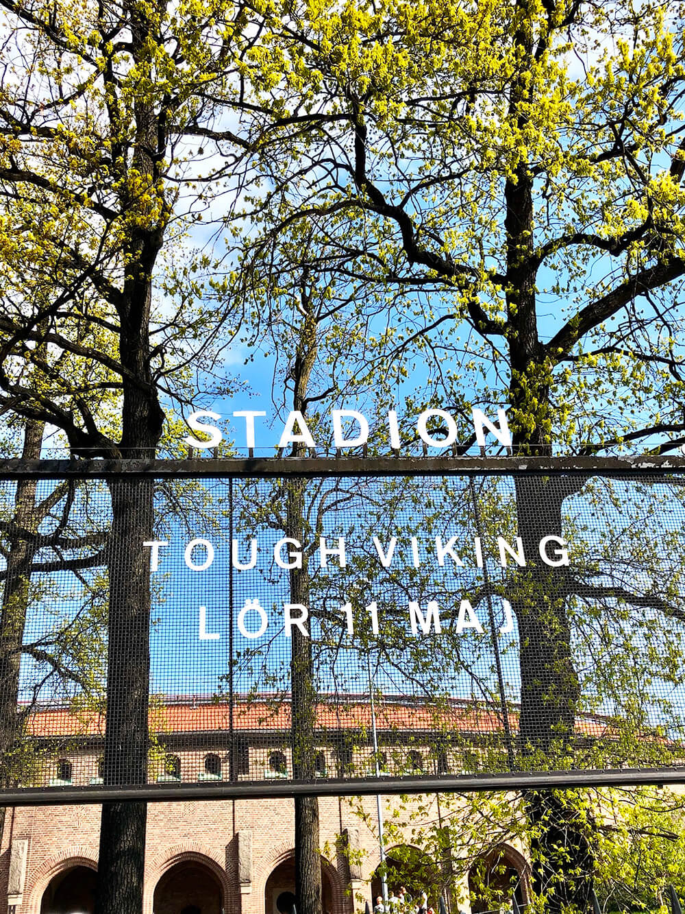 tough-viking-2019-1 - Tough Viking 2019