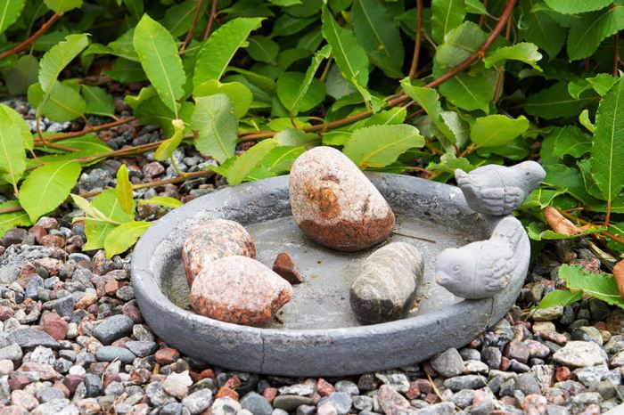 Hängsälj och blommor i trädgården