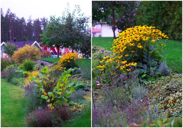 Trädgården på hösten