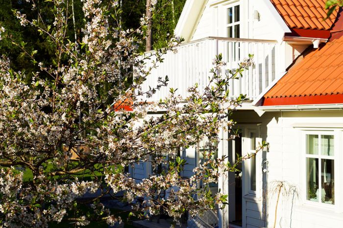 Plantering i trädgården