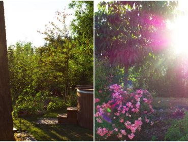 tradgarden-pa-kvallen-1