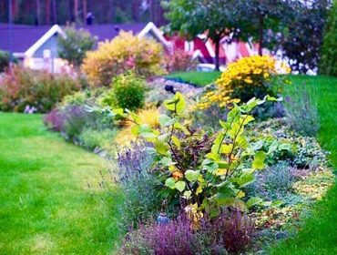 tradgarden-sensommar