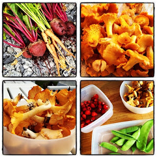 tradgardsskord - Trädgårdsmat och kantarellfråga