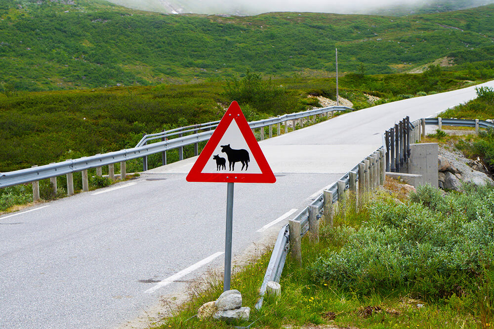 Trollstigen i Norge