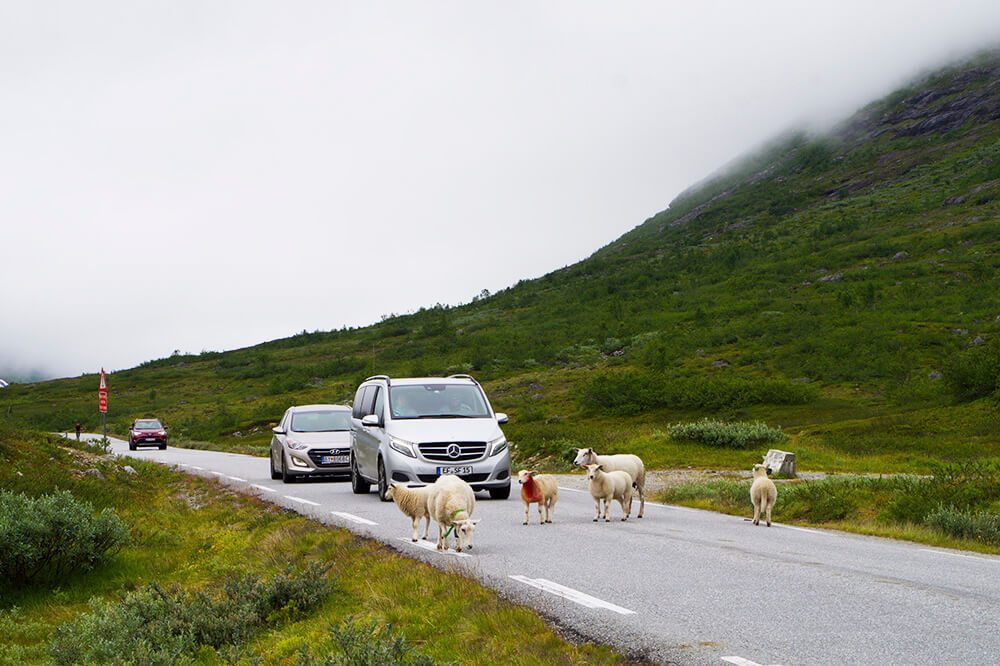 Trollstigen i Norge