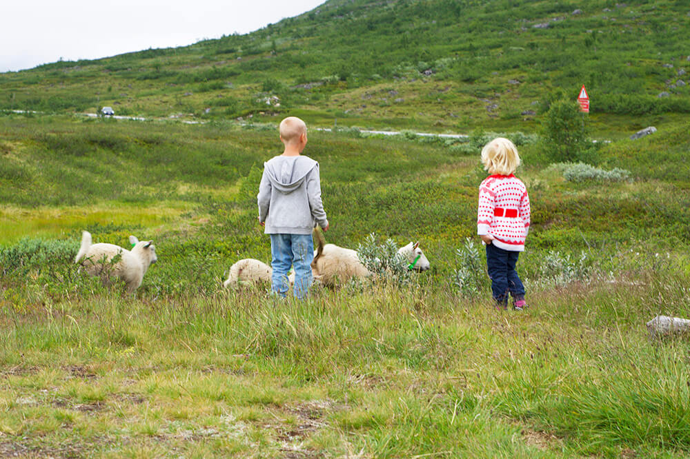 Trollstigen i Norge