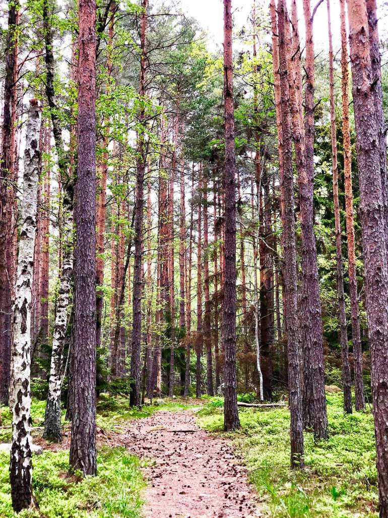 tuffa-traningsveckan-2 - den tuffa träningsveckan