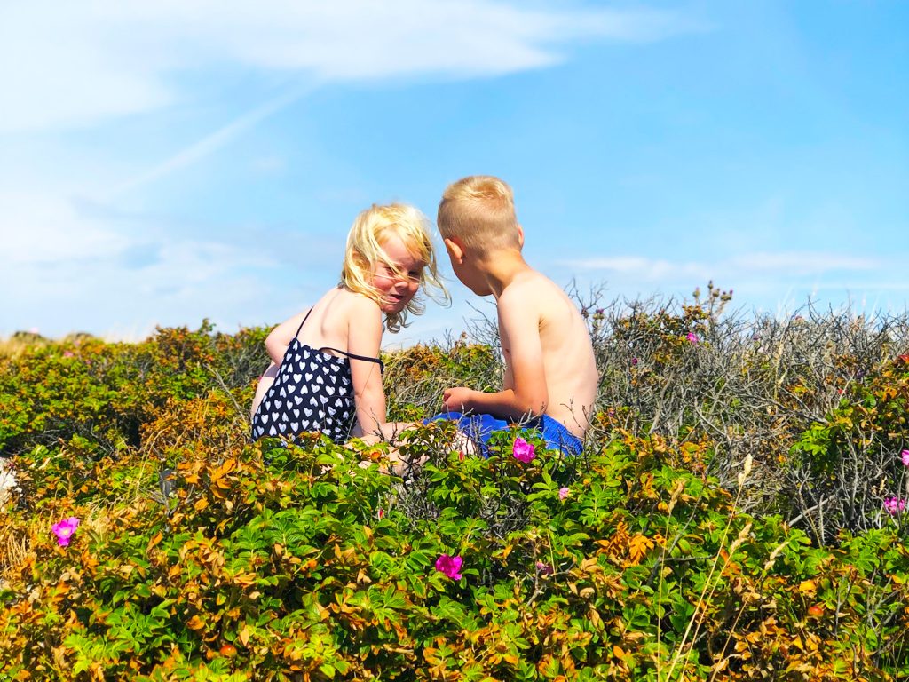 Ugglarp - kom till havet!