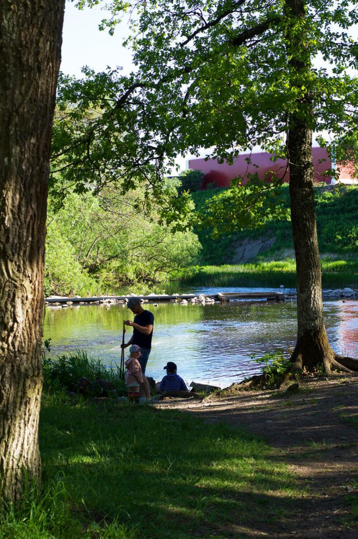 fiske sommarkväll i Ulva Kvarn