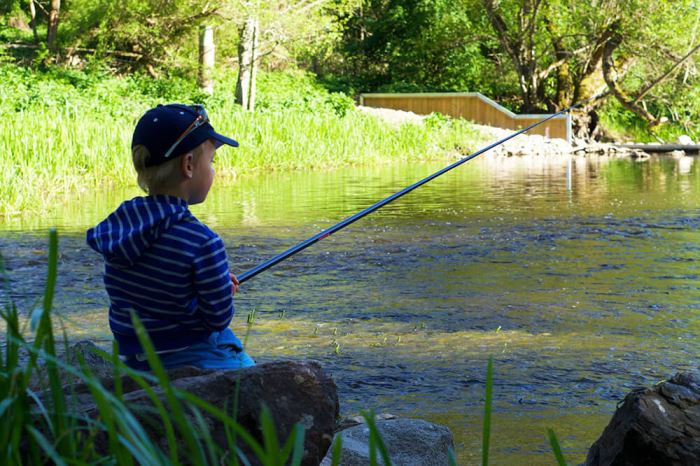 fiske sommarkväll i Ulva Kvarn