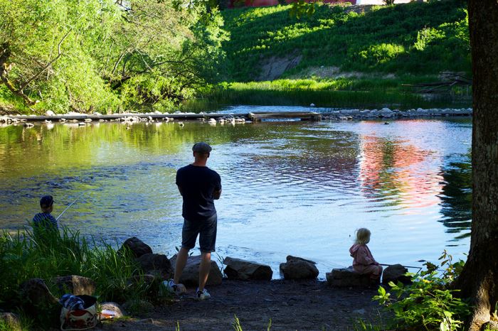fiske sommarkväll i Ulva Kvarn