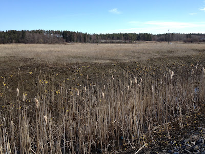 underbar-promenad-1 - En skillnad lika stor som mellan natt och dag