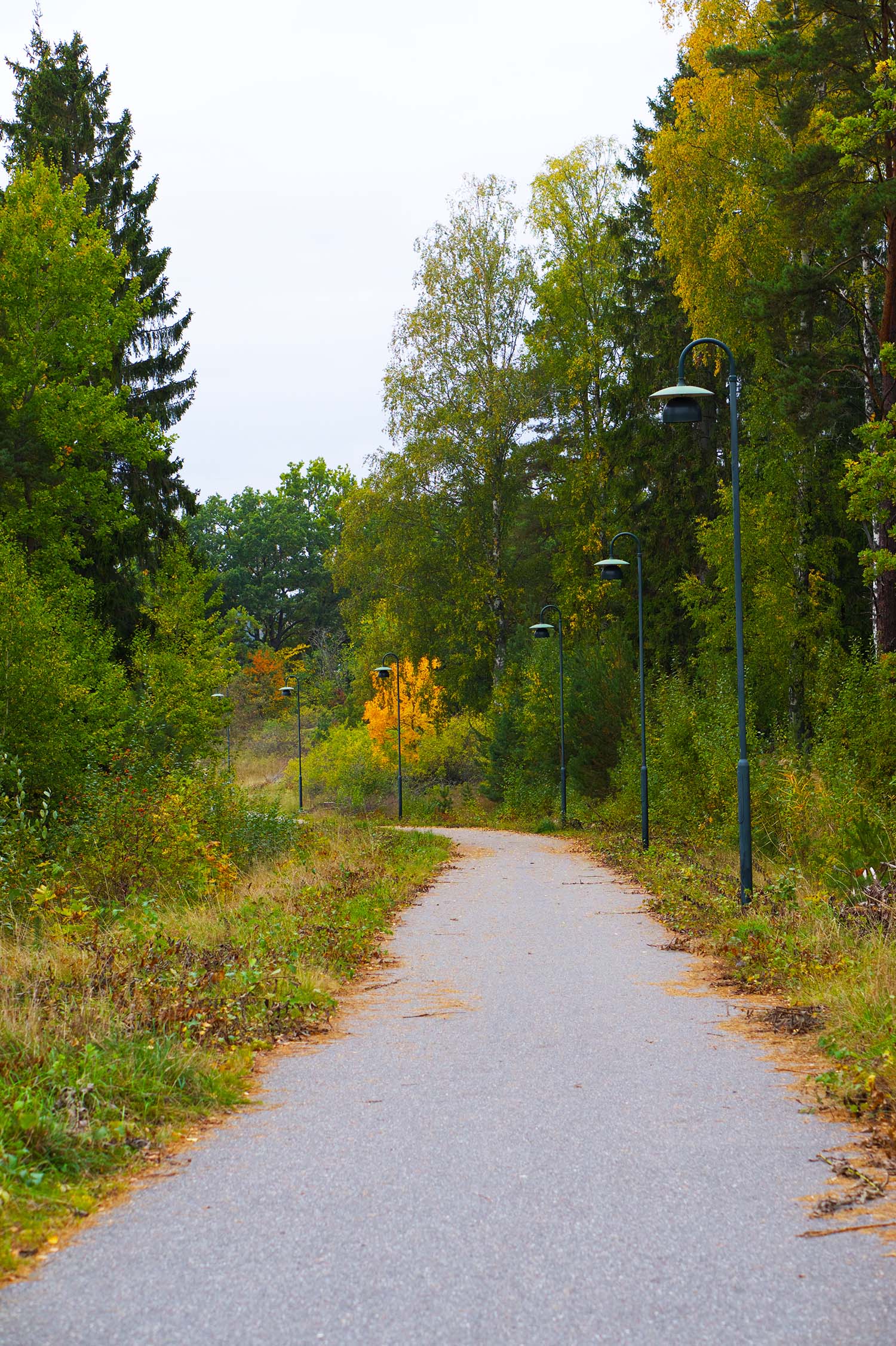 Vackra oktober