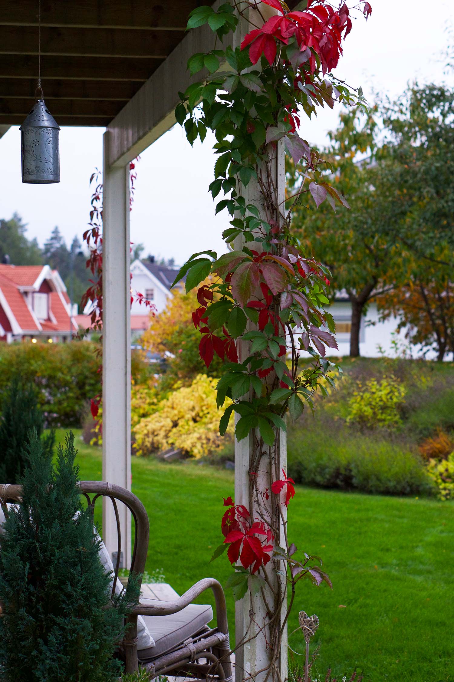 Vackra oktober