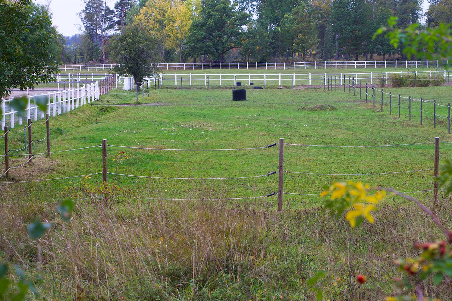 Vackra oktober