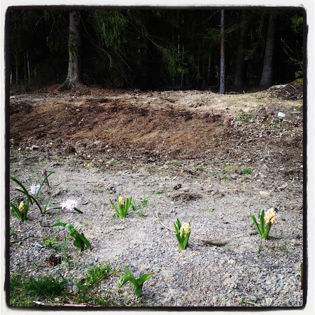 valborg-28329 - Grillpremiär på Valborg