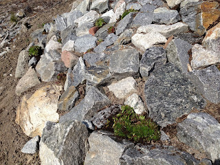 vardagsmotion-i-trC3A4dgC3A5rden-28229 - Vardagsträning i trädgården