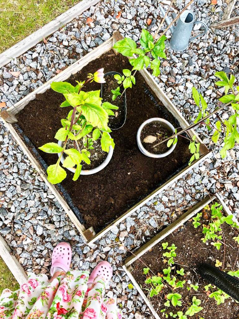 varfor-jag-tranar-6 - Varför jag tränar