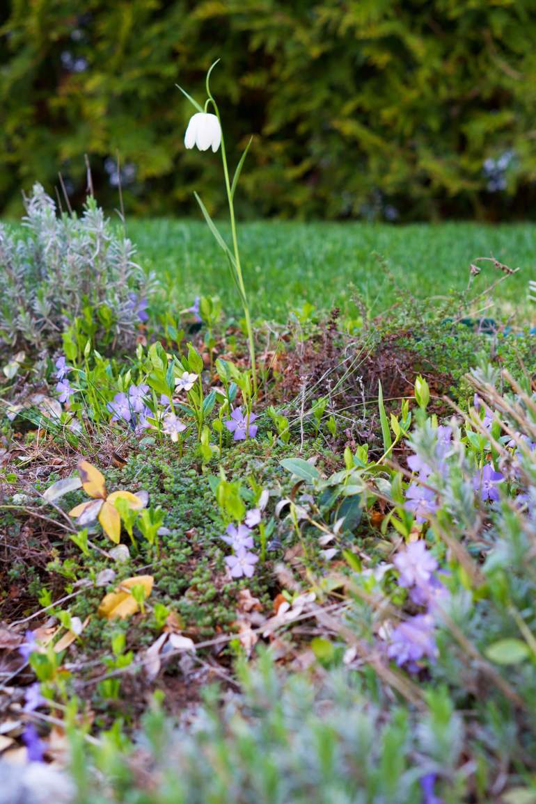 vart-paradis-tradgarden-9 - vår lilla paradis