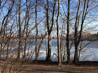 vattnet-pa-promenaden - Nya promenadstråk med bästa vännen