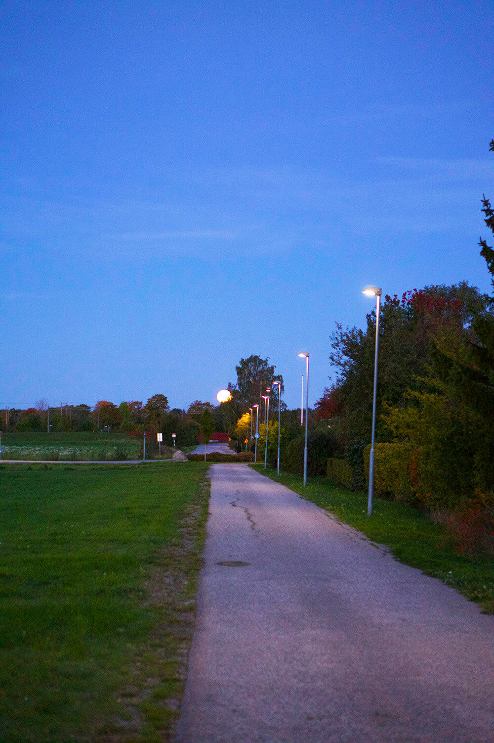 måne i morgonljuset