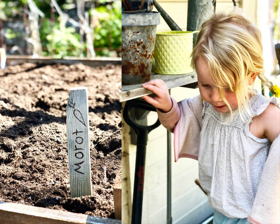 veckans-basta-3-maj-morotslandet - Veckans bästa ♥