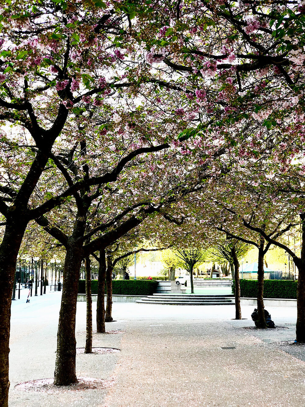 veckans-basta-3-maj-traning-korsbarstrad - Veckans bästa ♥