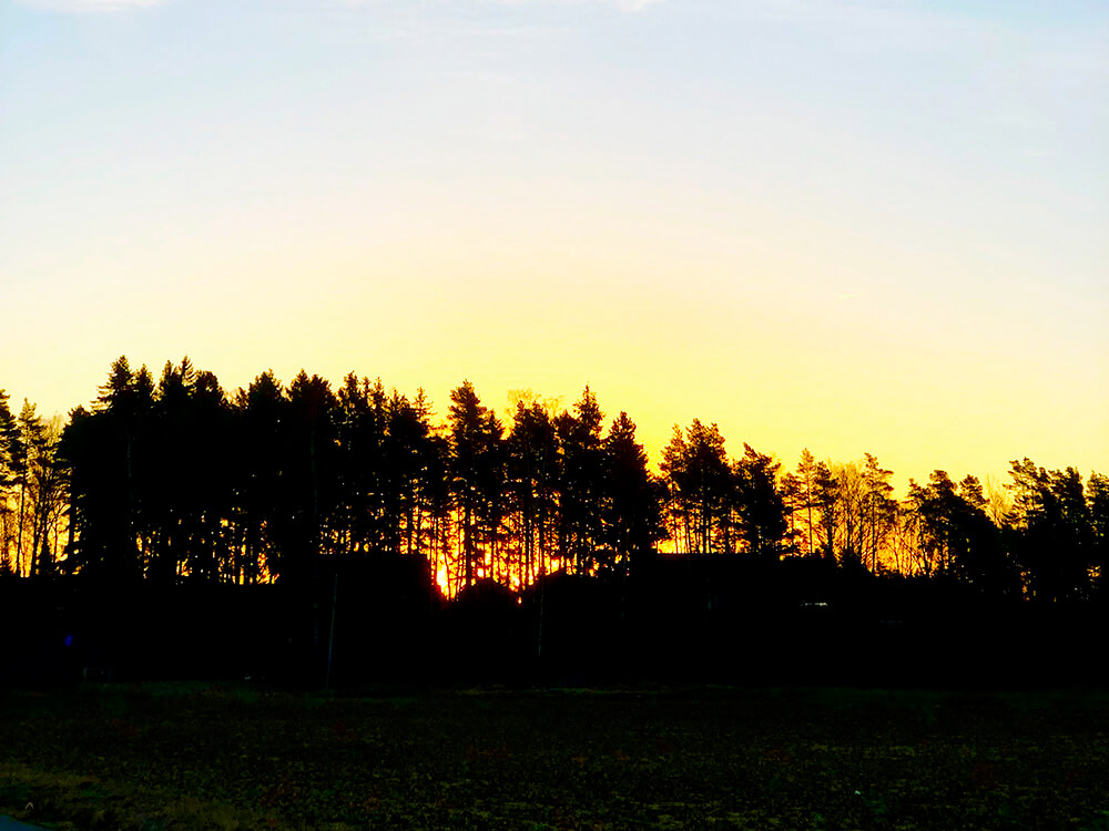 veckans-basta-4-3 - Veckans bästa ♥