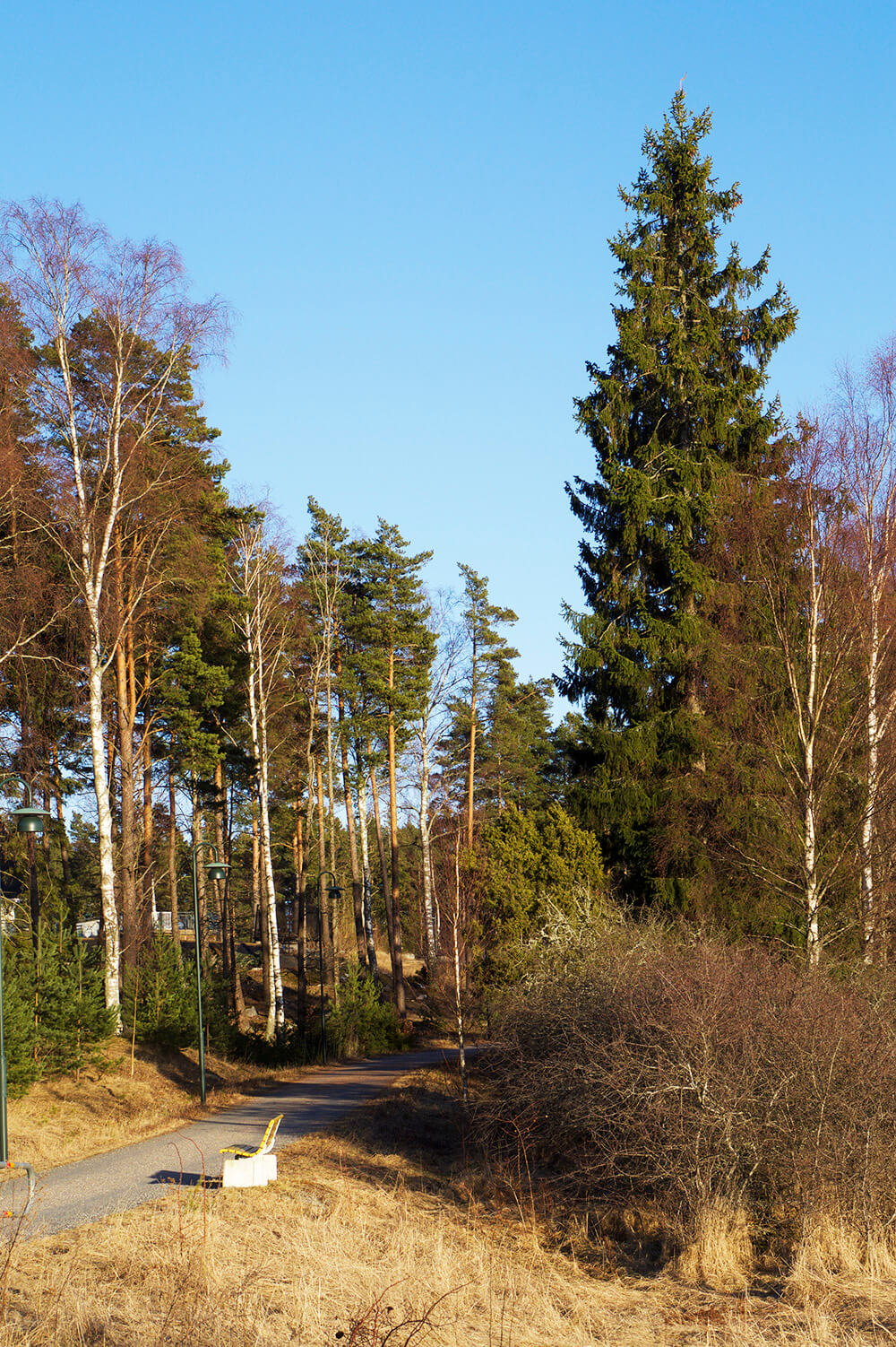 Cykling en vårkväll