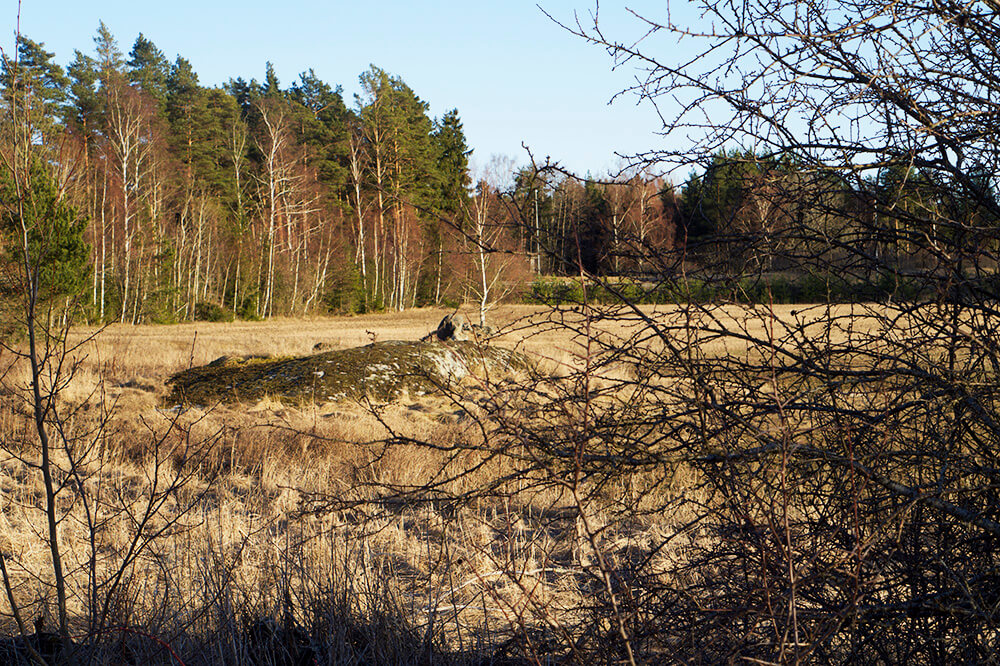 Cykling en vårkväll