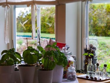 veckans-basta-fonster-1