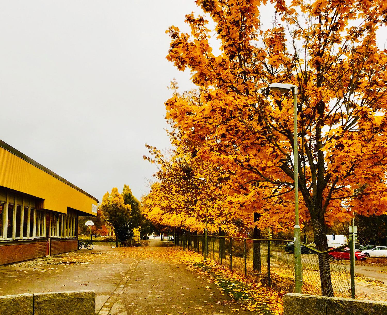 Höst oktober