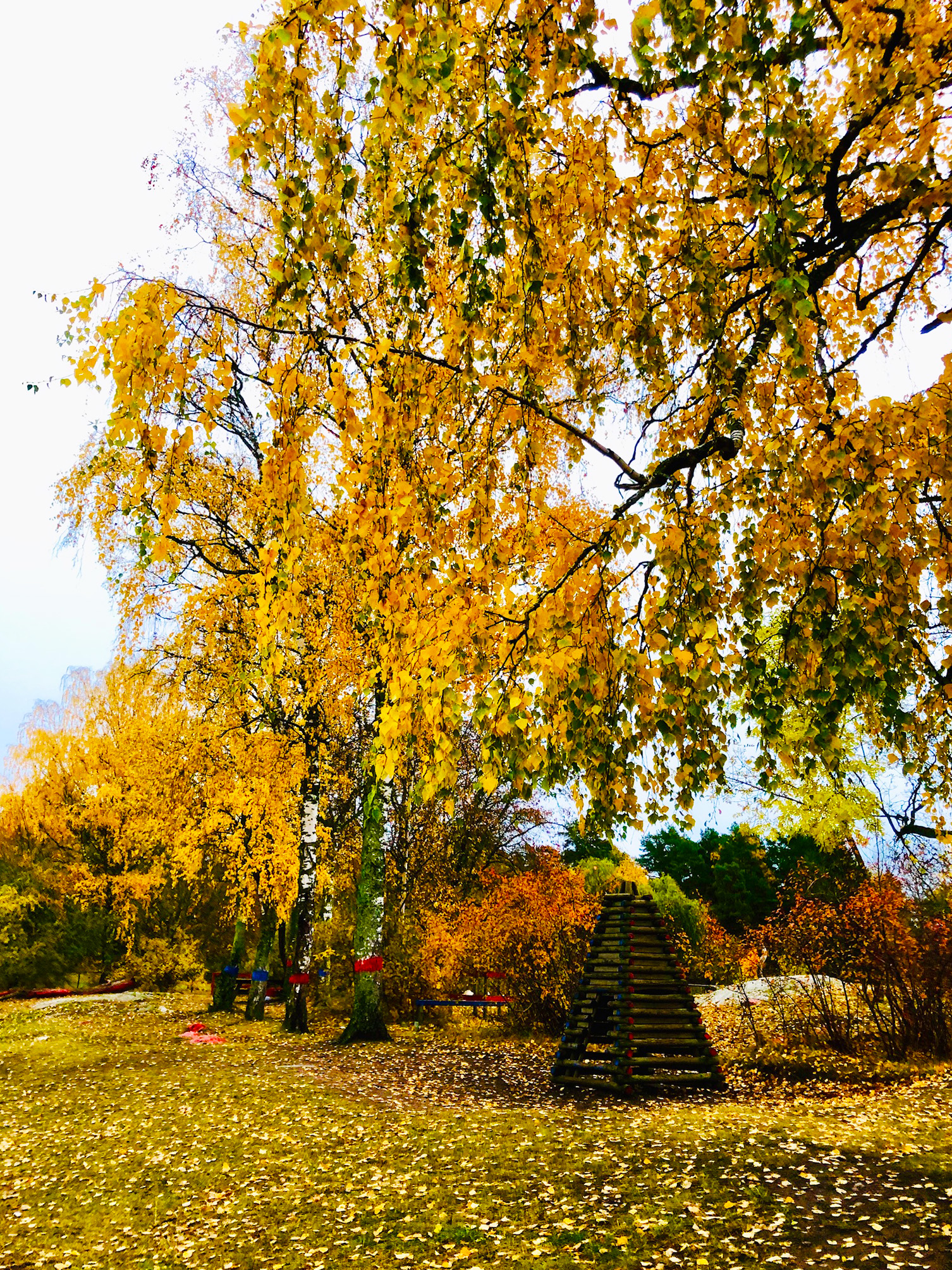 Höst oktober