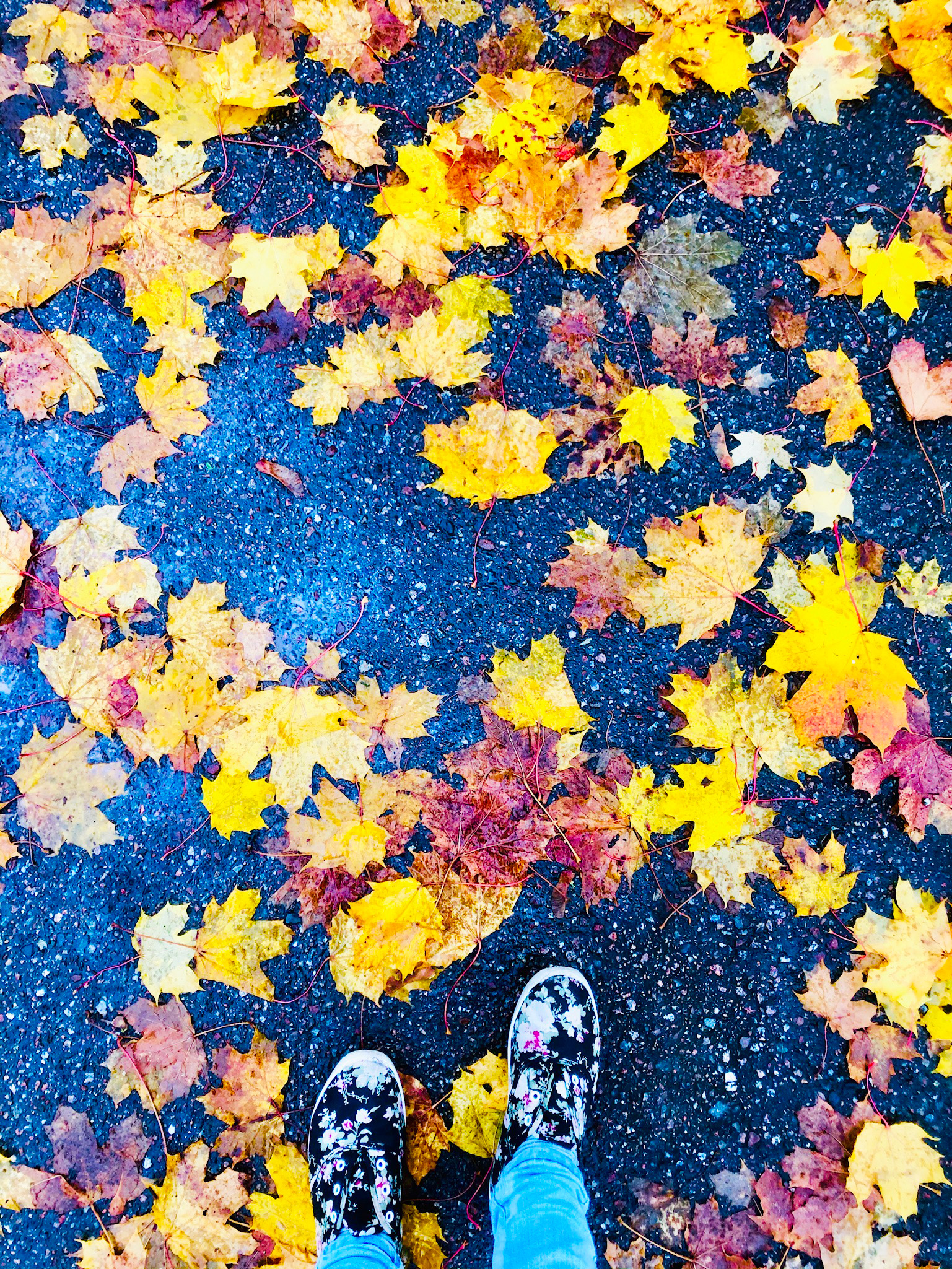 Höst oktober