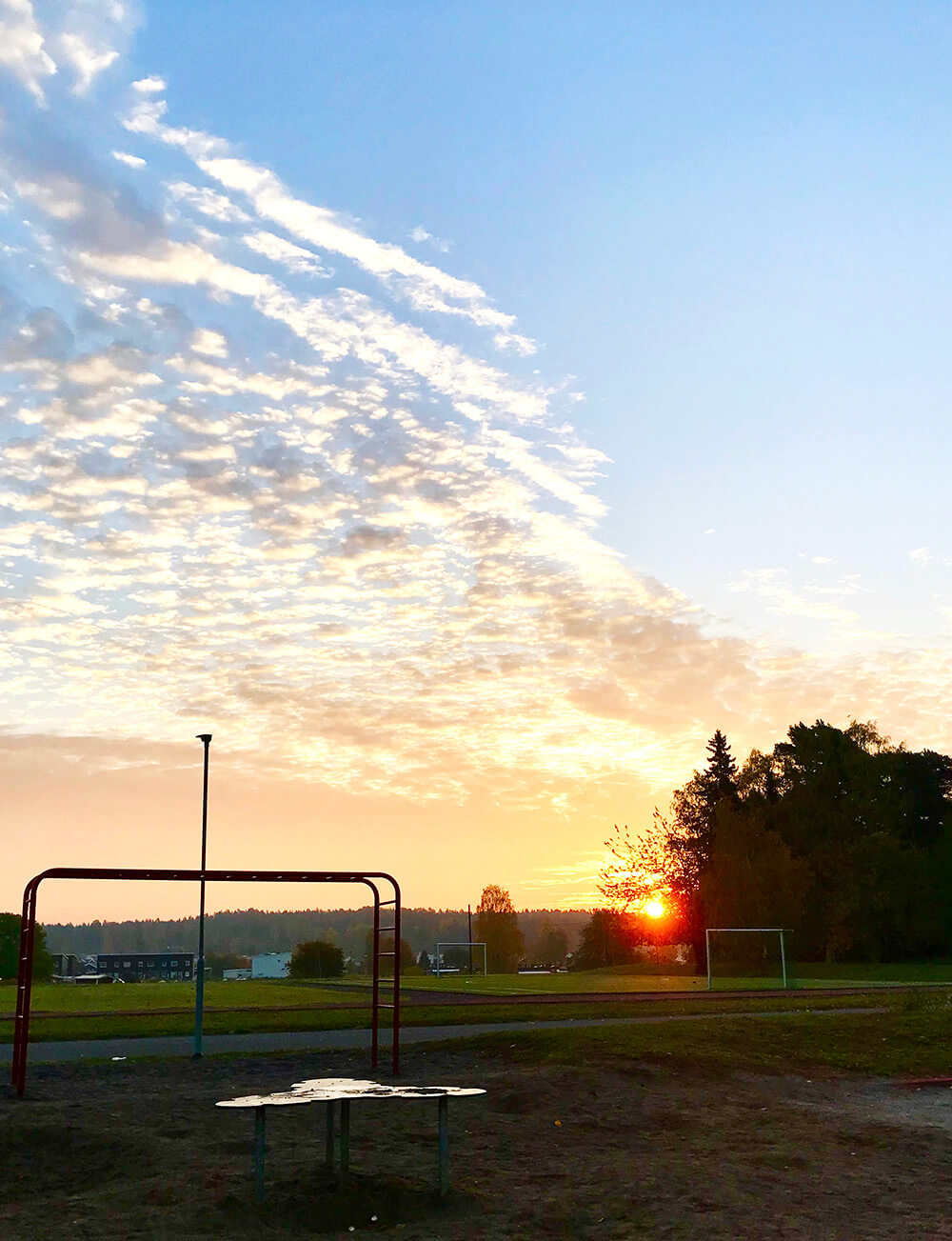 Höstmorgon