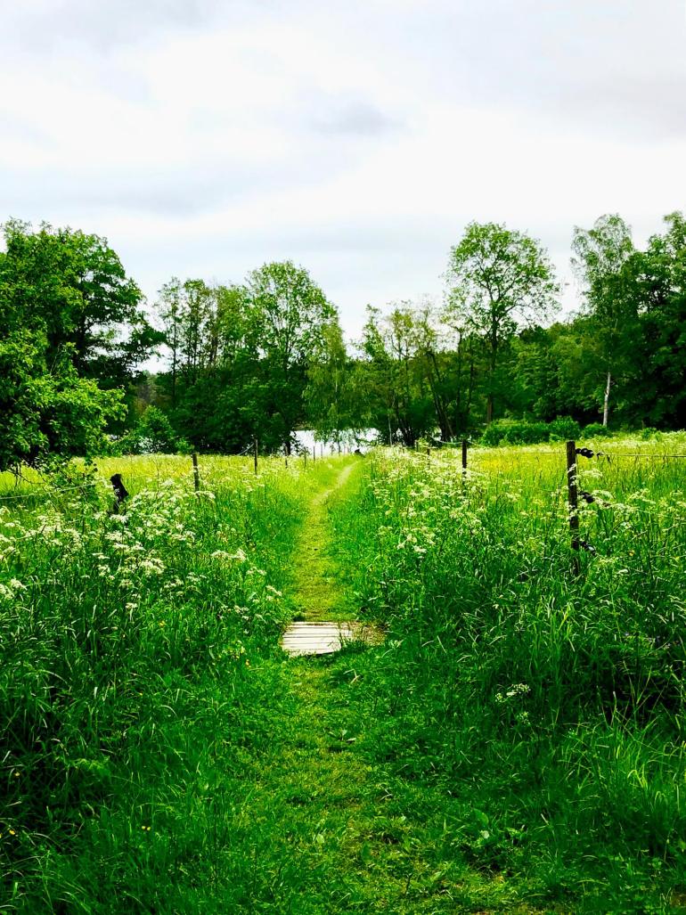 veckans-basta-lopning-1-1 - Veckans bästa ♥