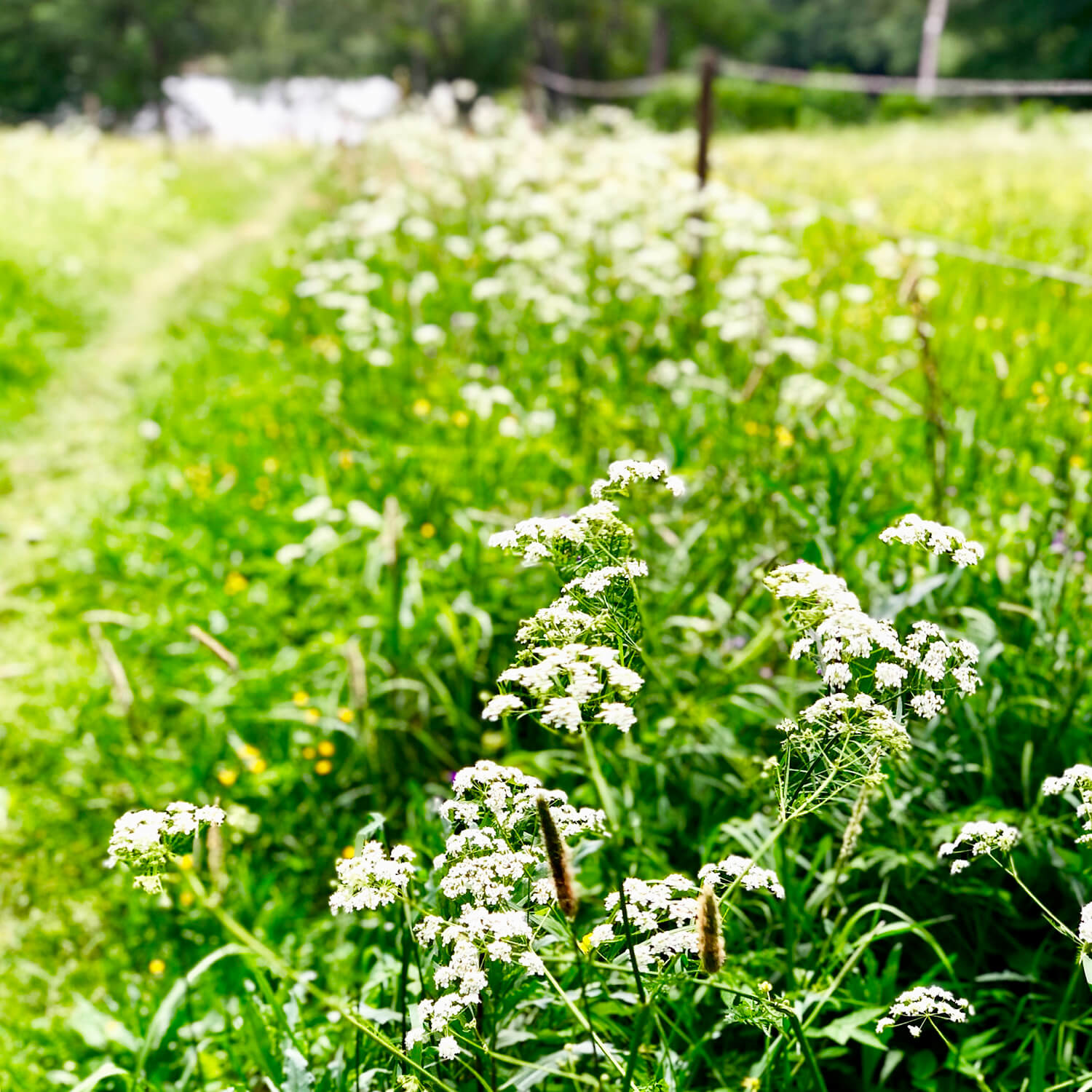 veckans-basta-lopning-2 - Veckans bästa ♥