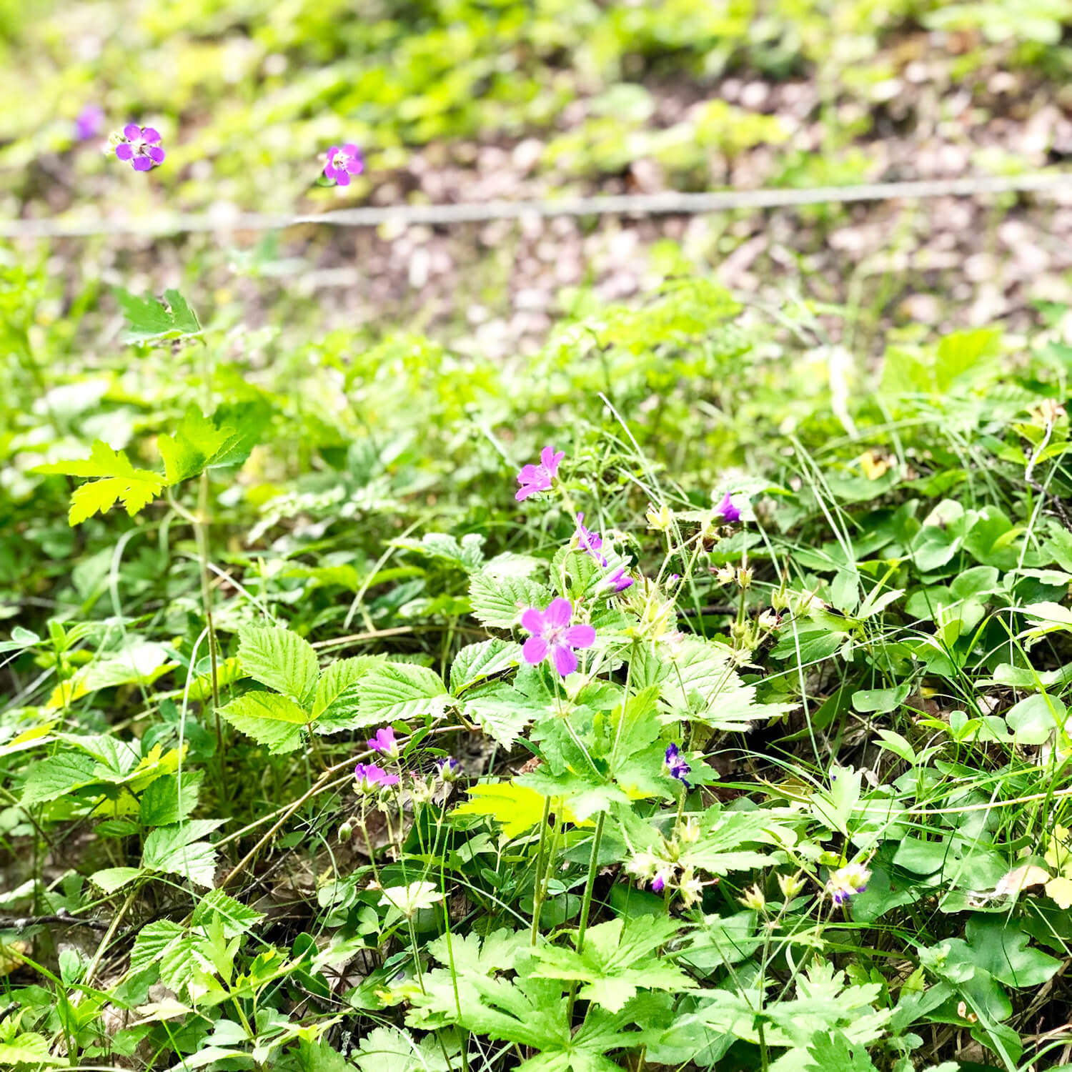 veckans-basta-lopning-3 - Veckans bästa ♥