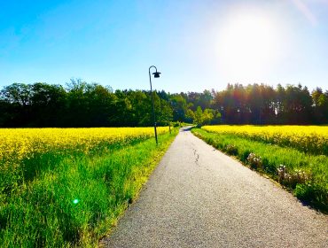 veckans-basta-lopning-hemma-1