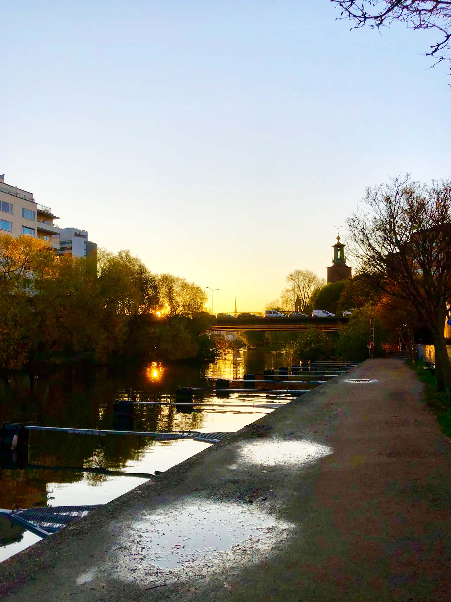 Morgonlöpning i Stockholm på hösten