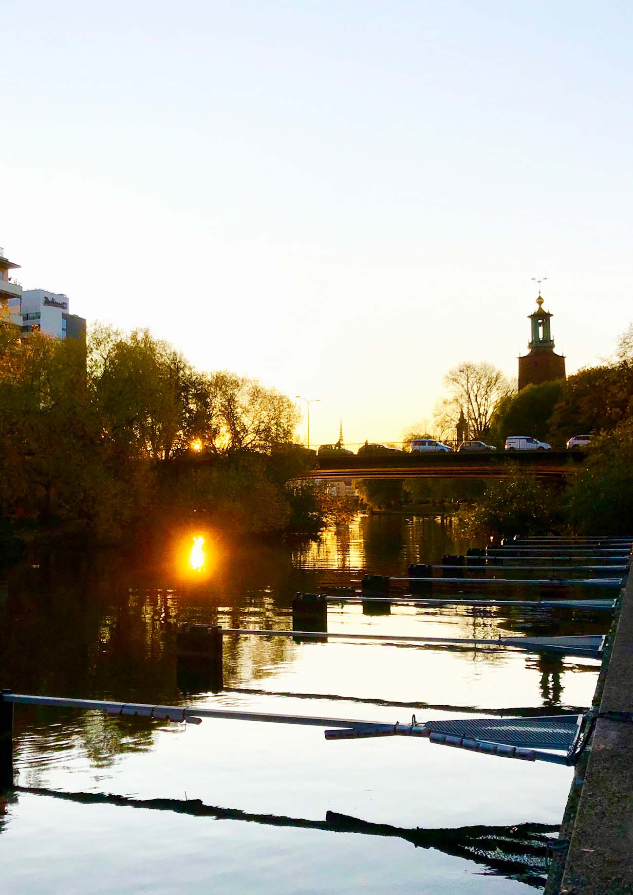 Morgonlöpning i Stockholm på hösten