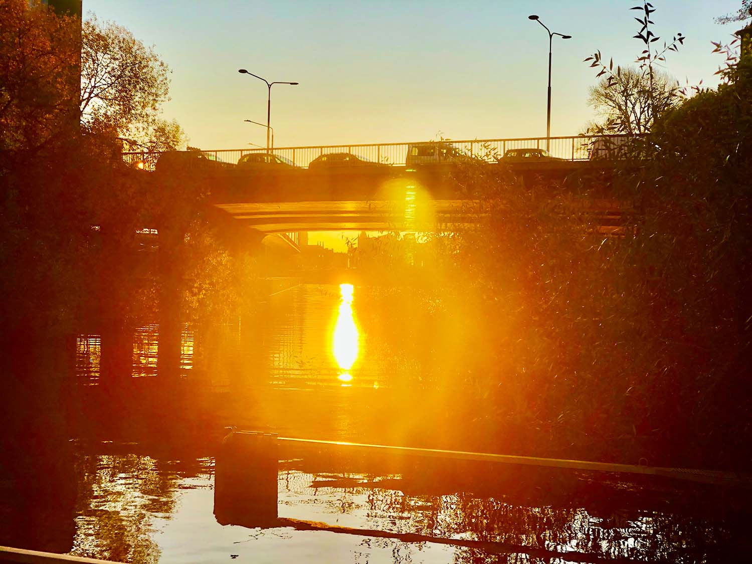 Morgonlöpning i Stockholm på hösten